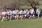 Boys under-15s 2025 UK CAU Inter Counties Cross Country Champs., Wollaton Park, Nottingham. Photo: David T. Hewitson/Sports for All Pics